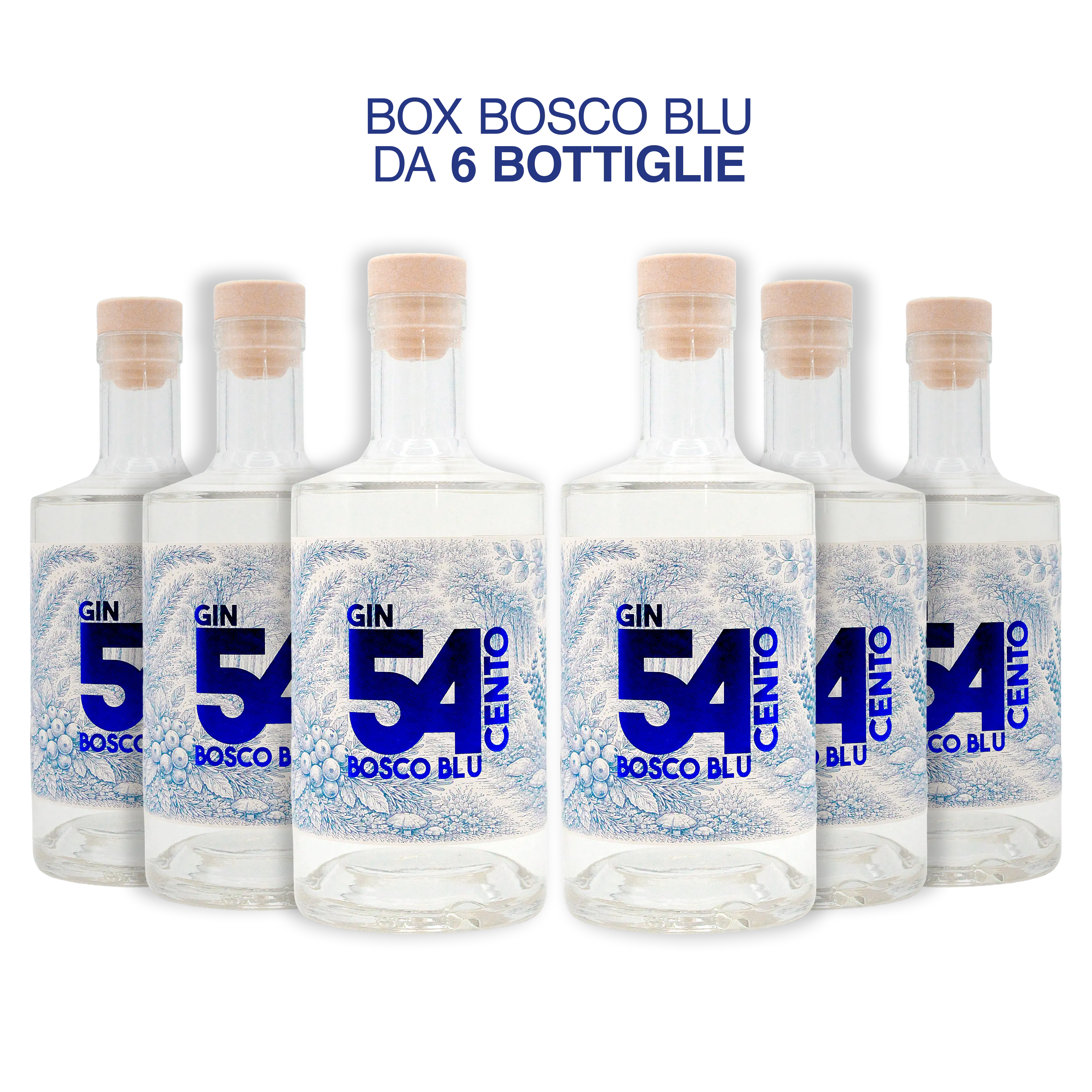 Box 6 bottiglie Bosco Blu